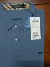 七匹狼長(cháng)袖T恤男抗菌面料POLO保羅衫男秋季簡(jiǎn)約商務(wù)通勤翻領(lǐng)長(cháng)T打底衫男 103(灰藍)-5A抗菌款 5XL 195/108A/XXXXXL 曬單實(shí)拍圖