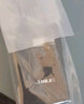 獅樂（SHILE）SH-29無線話筒一拖八頭戴耳麥 手持領(lǐng)夾咪 桌面會(huì)議鵝頸演講培訓(xùn)配8耳麥 曬單實(shí)拍圖