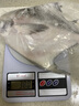鹿凌青 東海冰鮮大鯧魚(yú) 銀鯧魚(yú) 金鯧魚(yú) 平魚(yú) 海鮮水產(chǎn)魚(yú)類(lèi) 500-600g /條 【大白鯧】2條（300-400g/條） 精選 曬單實(shí)拍圖