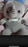 藍詩(shī)諾可愛(ài)大象毛絨公仔長(cháng)鼻子小象抱枕象玩偶布娃娃中號抓機婚慶禮物 灰色小象 22厘米 曬單實(shí)拍圖