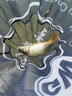 光威碳鎂合金抄網(wǎng)頭超輕超硬異形抄網(wǎng)抄魚網(wǎng)兜防掛速干撈魚網(wǎng)頭 速龍?zhí)兼V合金35CM（平口款） 曬單實(shí)拍圖