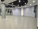 新綠里（SIGREENY）健身房地膠墊室內商用地膠幼兒園舞蹈室pvc運動(dòng)地板多功能地膠 曬單實(shí)拍圖