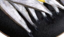 海名威 冷冻冰岛多春鱼 900g/袋 含籽率99% 海鲜水产 生鲜鱼类  烧烤 实拍图