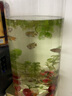 凡佰酷圓柱形魚(yú)缸圓形超白玻璃魚(yú)缸立體小型直筒魚(yú)缸家用客廳落地金魚(yú)缸-定制 直徑25cm 高50cm 透亮一體魚(yú)缸 曬單實(shí)拍圖