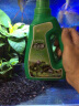德沃多肥料水草专用植物营养液600ml水草基肥鱼缸水肥料水培绿植盆栽液体肥 实拍图