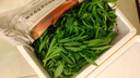 新鮮野菜面條菜野生面條菜柳葉菜蒸野菜蔬菜長(cháng)壽菜養生菜現挖現發(fā) 2000g 曬單實(shí)拍圖