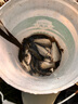 阿盧h11高靈敏度鯽魚漂野釣黑坑納米魚漂醒目浮漂輕口細尾棗核型浮標 LPH11（15目細尾） 1號一支(吃鉛約0.83g) 曬單實拍圖