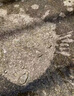 納米防水補(bǔ)漏噴霧透明滲透型原液屋頂外墻墻面膠噴劑材料防漏涂料 2斤【20倍超濃縮】單遍約100平方 曬單實(shí)拍圖