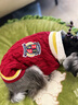 ISPET寵物衣服秋冬裝毛衣泰迪比熊小型犬柴犬西高地長毛領開衫毛衣 藍色 L 建議體重10-16斤 曬單實拍圖