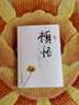 頓悟+覺(jué)醒 頓悟:一聲捧喝敲破執迷萬(wàn)頃醍醐澆灌人生頓悟覺(jué)醒受益終身的金玉良言 變通書(shū)籍  變通受用一生的學(xué)問(wèn)中國式應酬辦事的藝術(shù)成功社交書(shū)籍為人處世高情商聊天術(shù) 頓悟+覺(jué)醒2冊套裝 曬單實(shí)拍圖