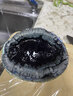 新西蘭進(jìn)口黑金鮑高檔海鮮水產(chǎn)鮮活冷凍超大鮑魚(yú)一頭鮑約500g/個(gè) 1000g/2個(gè) 曬單實(shí)拍圖