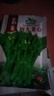 四九菜心種子四季甜菜心籽廣東菜苔種籽農(nóng)家盆栽陽(yáng)臺(tái)蔬菜種子大全 四九菜心種子【3包 約1500?！?曬單實(shí)拍圖