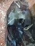 集大成 原裝NEC日電NP15LP投影機(jī)燈泡 NP-M260XS+,M280XS+,M300XS+ 原裝燈泡【NP15LP】 曬單實(shí)拍圖