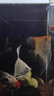 寵翰脫殼豐年蝦卵免孵化熱帶魚食小型觀賞魚飼料孔雀魚糧幼魚魚苗開口 豐年蝦25克*1瓶 曬單實拍圖