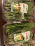 小湯山 菠菜苗 約150g 新鮮蔬菜基地種植當(dāng)天采摘 曬單實(shí)拍圖