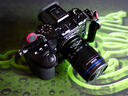 老蛙（LAOWA） MFT 50mm F2.8 Macro微距鏡頭2倍放大M43口 黑色 微單M/43卡口 曬單實(shí)拍圖