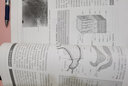 消化系統(基礎與臨床第2版以器官系統為中心翻譯教材) 曬單實(shí)拍圖