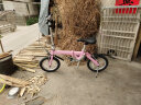 大行（DAHON） 412折叠自行车14英寸单速超轻迷你铝合金学生成人单车BYA412 粉色【BA接头】 实拍图