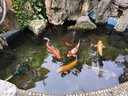 格池（GRECH） 變頻水泵魚池循環(huán)水泵潛水泵家用水陸兩用假山水泵抽水泵節(jié)能 140W變頻防堵泵/16000流量/7.5米揚(yáng)程 曬單實(shí)拍圖
