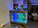 喜灝子彈頭魚缸水族箱客廳家用中型大型1.2米屏風隔斷免換水鞋柜魚缸 包到家安裝 1.0米長實木夾板柜一套-底濾 曬單實拍圖