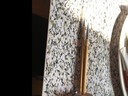 梅林筆莊 王羲之手札小楷毛筆成人練字筆狼毫楷書(shū)行書(shū)蠅頭小楷小號(hào)國(guó)畫(huà)文房四寶初學(xué)者筆墨紙硯書(shū)法筆 大中小三支裝【更劃算】 狼毫 曬單實(shí)拍圖