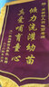 誠品禮坊【京好貨】教師節錦旗定制定做錦旗訂做定制送月嫂美容院物業(yè)感謝送幼兒園老師醫生律師駕校 龍須款立體閃金 70x110cm 曬單實(shí)拍圖