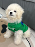 MIKI PAD狗狗衣服春秋條紋針織背心貓咪衣服寵物小型犬透氣比熊泰迪雪納瑞 萌趣云朵毛衣 L 胸圍43cm(參考體重10-15斤) 曬單實(shí)拍圖