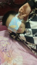 北京同仁堂葉黃素艾草決明子蒸汽熱敷眼罩睡眠眼疲勞舒緩護眼遮光 一盒12袋_12片 曬單實(shí)拍圖