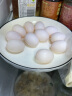 均鲜新鲜鸽子蛋杂粮喂养农家特产白鸽蛋信鸽蛋孕妇宝宝儿童土鸽子蛋 20枚初生鲜鸽蛋 实拍图
