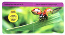 英文原版 美國(guó)國(guó)家地理 National Geographic Kids Look and Learn Bugs 紙板書(shū) 兒童啟蒙學(xué)習(xí)百科書(shū) 綠山墻 曬單實(shí)拍圖