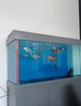 索一魚(yú)缸客廳大型專業(yè)家用生態(tài)龍魚(yú)底濾超白玻璃智能落地水族箱 耀石灰 靠墻款長(zhǎng)150*寬50*缸高75/柜高80cm 曬單實(shí)拍圖