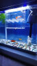 SICCE鱼缸懒人鱼缸家用客厅办公室金鱼缸中小型玻璃鱼缸过滤鱼缸 SO-400F（390*190*390） 实拍图