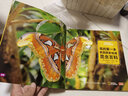 我的第一本美國國家地理昆蟲(chóng)百科 曬單實(shí)拍圖