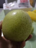 冠福記正宗王林青蘋(píng)果當季新鮮水果脆甜10斤青森綠蘋(píng)果青蜜王林雀斑王林 10斤家庭裝 曬單實(shí)拍圖