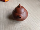 宜興降坡泥小紫砂壺130cc茶壺文旦小茶壺小功夫茶壺家用小茶壺 曬單實(shí)拍圖