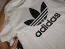 阿迪達斯 （adidas）三葉草短袖女t恤2025夏季新款LOGO印花寬松休閑運動(dòng)透氣半袖T恤 GN2896/三葉草/經(jīng)典款-尺碼偏大 S 曬單實(shí)拍圖