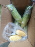 【云南高原玉米】現摘新鮮水果玉米新鮮甜玉米棒生鮮蔬菜可生吃 新鮮水果玉米 3斤 凈重 300g起 曬單實(shí)拍圖
