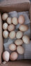 筱诺 新鲜现捡初生蛋土鸡蛋 笨鸡蛋新鲜柴鸡蛋 20枚鸡蛋 实拍图