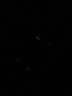 適用于別克凱越玻璃升降器開(kāi)關(guān)總成 老凱越電動(dòng)窗開(kāi)關(guān) 新凱越開(kāi)關(guān)原裝規格 08-17凱越主開(kāi)關(guān)-精品（帶一鍵） 免拆門(mén) 曬單實(shí)拍圖
