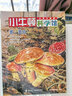 【贈(zèng)定制桌游】小牛頓科學(xué)館系列全套60冊(cè)系列任選 升級(jí)點(diǎn)讀版禮盒裝夢(mèng)想紅科學(xué)藍(lán)地球綠 美好的生活少兒童百科全書(shū)益智科普繪本禮品科學(xué)啟蒙讀物3-6-9歲小學(xué)生二年級(jí)課外閱讀認(rèn)知書(shū)籍 【夢(mèng)想紅20冊(cè) 升級(jí) 曬單實(shí)拍圖