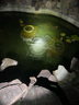 HAILI氧氣泵 魚(yú)池增氧泵 戶(hù)外大功率家用大氣量魚(yú)缸增氧機打氧機 HAP-120  90W套餐 曬單實(shí)拍圖