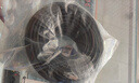 柏森德 六類千兆室外網(wǎng)線 40米 家用工程防水防曬耐寒帶水晶頭 電腦寬帶監(jiān)控8芯網(wǎng)絡(luò)跳線 BSD-CPY6-SH40 曬單實拍圖