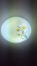 飛利浦（PHILIPS） LED吸頂燈燈芯燈盤(pán)燈板替換環(huán)形蝴蝶燈管節(jié)能蝶管U型熒光燈管環(huán) 【T5細(xì)管】32W  白光 曬單實(shí)拍圖