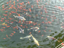 uni 進(jìn)口三菱油漆筆PX-20防水不掉色汽車(chē)輪胎工業(yè)補漆標記油性記號筆 婚禮會(huì )議簽名簽字筆 黑色 1支 曬單實(shí)拍圖
