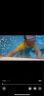 李宁 LI-NING 泳镜 高清防雾防水眼镜男士女士游泳镜 508-1/215黑色 实拍图