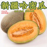 盈余 新疆吐魯番哈密瓜 火焰山蜜瓜 西洲網(wǎng)紋瓜 2-4個【凈重10-12斤】 曬單實拍圖