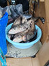 漁家傲不凡金版浮釣鰱鳙餌料野釣花白鰱大頭魚(yú)魚(yú)餌手桿鰱魚(yú)草莓味漁家傲 金版5包送小藥3瓶 曬單實(shí)拍圖
