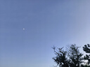 好橙孕婦安全褲防走光打底褲內褲二合一大碼夏季薄款孕期托腹鯊魚(yú)褲 【高腰款】膚色+黑色 L【適合體重90-120斤】 曬單實(shí)拍圖