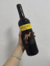 澳洲黄尾袋鼠（Yellow Tail）西拉红葡萄酒 750ml 单瓶装 实拍图