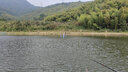 詹品 草魚(yú)加長(cháng)子線(xiàn)雙鉤珠珠大物-主攻草魚(yú)青魚(yú)鯉魚(yú) 有刺亮綠2.0米/13號/5.0號線(xiàn) 曬單實(shí)拍圖
